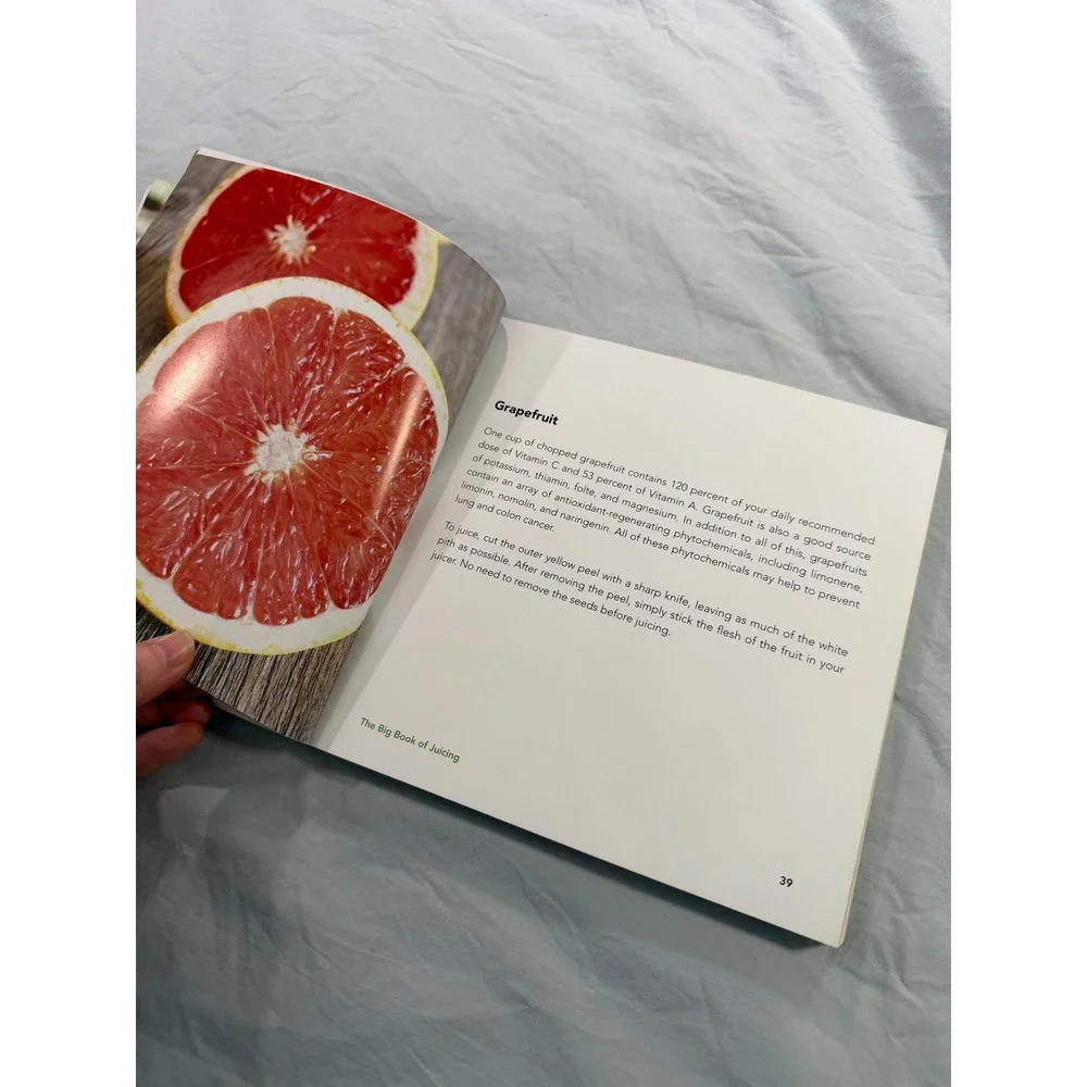 The Big Book of Juicing 150+ Recipes Skyhorse Publishing Paperback 2017 B-76